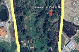 Excellent Farm Estate For Sale In Santa Comba Dao Viseu Portugal