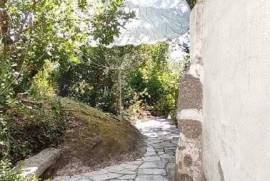 Excellent Farm Estate For Sale In Santa Comba Dao Viseu Portugal