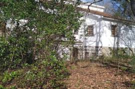 Excellent Farm Estate For Sale In Santa Comba Dao Viseu Portugal