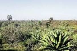 2 Plots of land for sale on Little Cayman, Cayman Islands