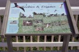 2 Plots of land for sale on Little Cayman, Cayman Islands