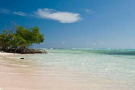 2 Plots of land for sale on Little Cayman, Cayman Islands