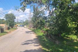 Excellent Plot of land for sale in Grey Ground Manchester Jamaica