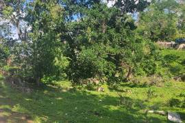 Excellent Plot of land for sale in Grey Ground Manchester Jamaica