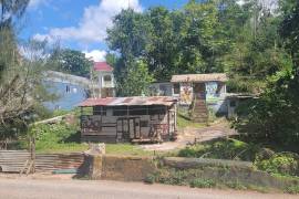 Excellent Plot of land for sale in Grey Ground Manchester Jamaica