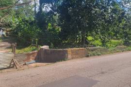 Excellent Plot of land for sale in Grey Ground Manchester Jamaica