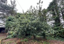 2 bed Irish Cottage For Sale In Farranmacfarrell Ballina County Sligo Ireland