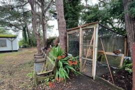 2 bed Irish Cottage For Sale In Farranmacfarrell Ballina County Sligo Ireland