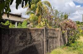 5 Bedroom Renovation Project Estate For Sale In Fortlands Basseterre Saint Kitts