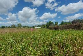 Excellent Plots of land for sale in Trinidad and Tobago