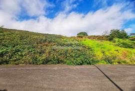 Building land with approved project