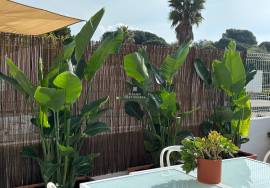 Apartment for sale | Sea Front| Absolute Light| Swimming pool