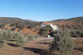 Detached 3 bedroom villa with garage - 18000 m2 of land with olive trees in Macedo de Cavaleiros