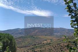 Detached 3 bedroom villa with garage - 18000 m2 of land with olive trees in Macedo de Cavaleiros