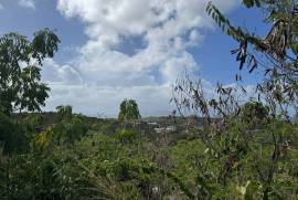 Princess Quarters Lot #10