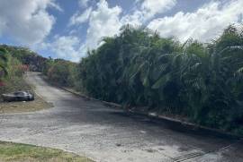 Princess Quarters Lot #10