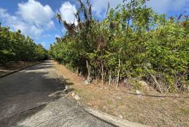 Princess Quarters Lot #10