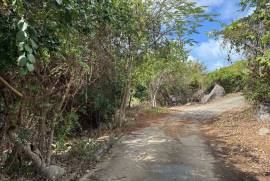 Princess Quarters Lot #10