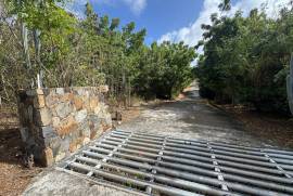 Princess Quarters Lot #10