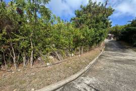 Princess Quarters Lot #10