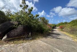 Princess Quarters Lot #10