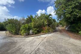 Princess Quarters Lot #10