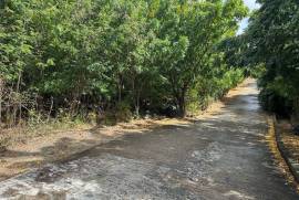 Princess Quarters Lot #10