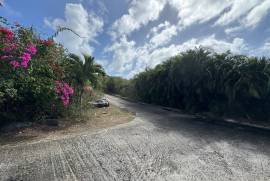 Princess Quarters Lot #10