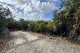 Princess Quarters Lot #10