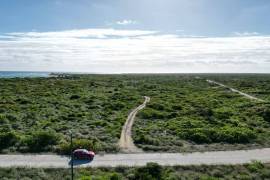 Anegada Loblolly Lots