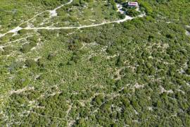 Anegada Loblolly Lots