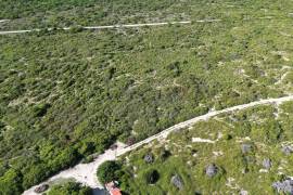 Anegada Loblolly Lots
