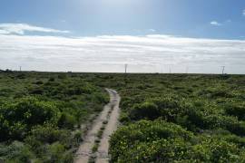 Anegada Loblolly Lots