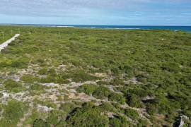 Anegada Loblolly Lots