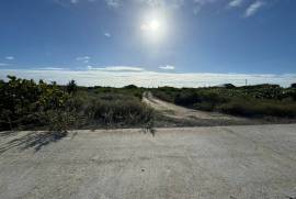 Anegada Loblolly Lots