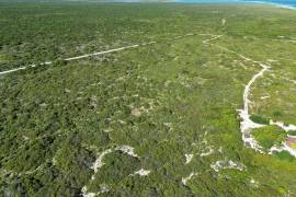 Anegada Loblolly Lots