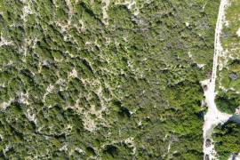 Anegada Loblolly Lots