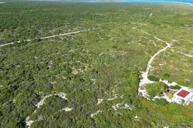 Anegada Loblolly Lots