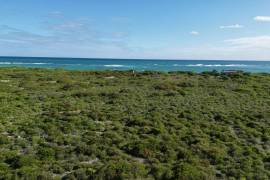 Anegada Loblolly Lots