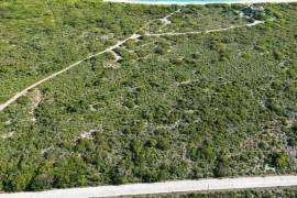 Anegada Loblolly Lots
