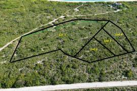 Anegada Loblolly Lots