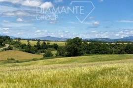 AZ403 – Agricultural company with 26 hectares of land