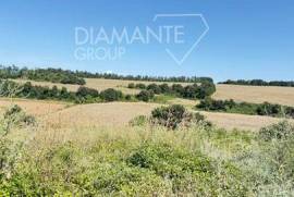 AZ404 – Agricultural company with approximately 83 hectares of land