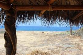 Beachfront Pedritos Surf Break, Pacific, ­ ­