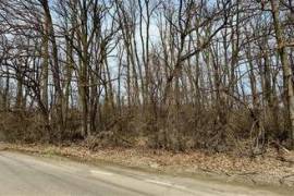 Land for sale 6000 sqm in Corbeanca, Petresti area