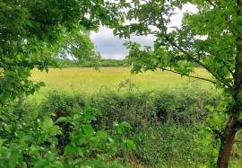 Farm estate (domaine) for sale in the south of the Brenne 36