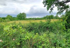 Farm estate (domaine) for sale in the south of the Brenne 36