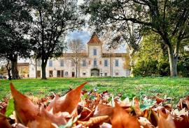 18th Century Chateau With 3 Independent Residences