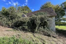 Two Buildings in 3.5 Hectares of Land