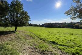 Two Buildings in 3.5 Hectares of Land
